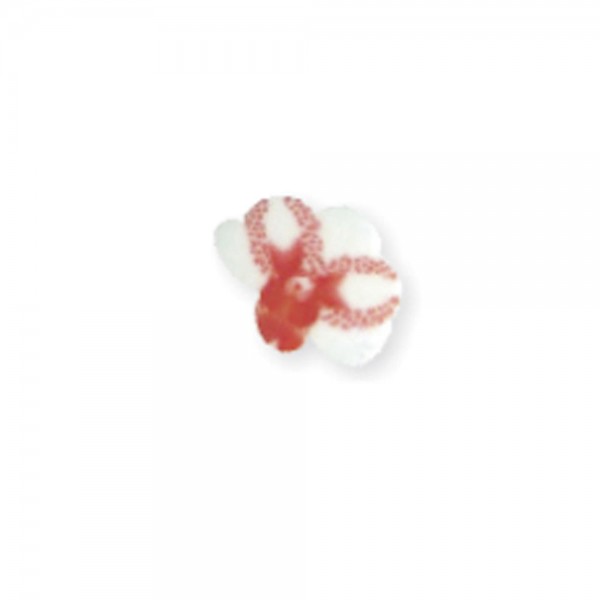 fimo flower, red orchid